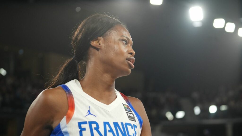 Basket : 125 à 24 face à l'Irlande... L'équipe de France féminine qualifiée pour l'Euro avec une victoire record