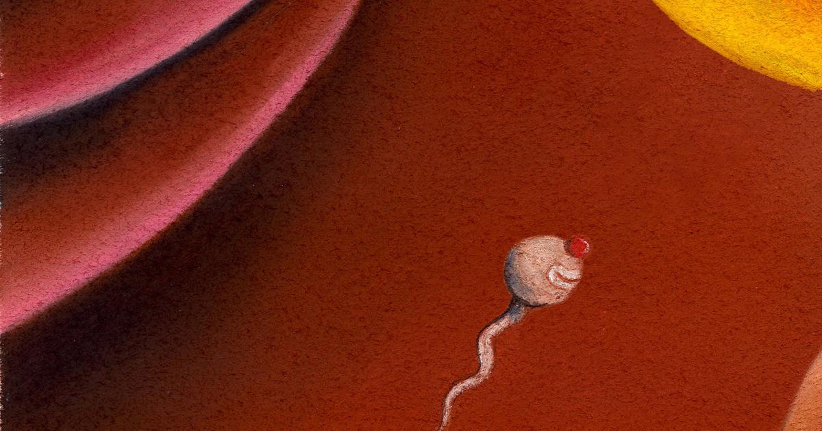 Les dangers des applis de fertilité : “On peut très facilement tomber enceinte”