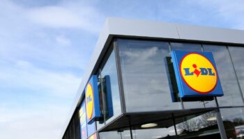 Les salariés “sont à bout” : cinq syndicats appellent à une grève nationale illimitée chez Lidl