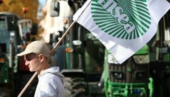 L’alliance syndicale agricole majoritaire formée par la FNSEA et les Jeunes Agriculteurs appelle à des manifestations "à partir du 15 novembre"