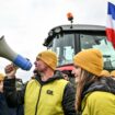 La large percée de la Coordination rurale aux élections agricoles bouscule l’hégémonie FNSEA-JA