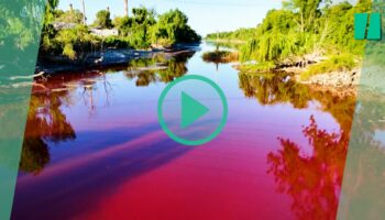 À Buenos Aires, le ruisseau Sarandi qui a viré couleur rouge carmin inquiète les habitants