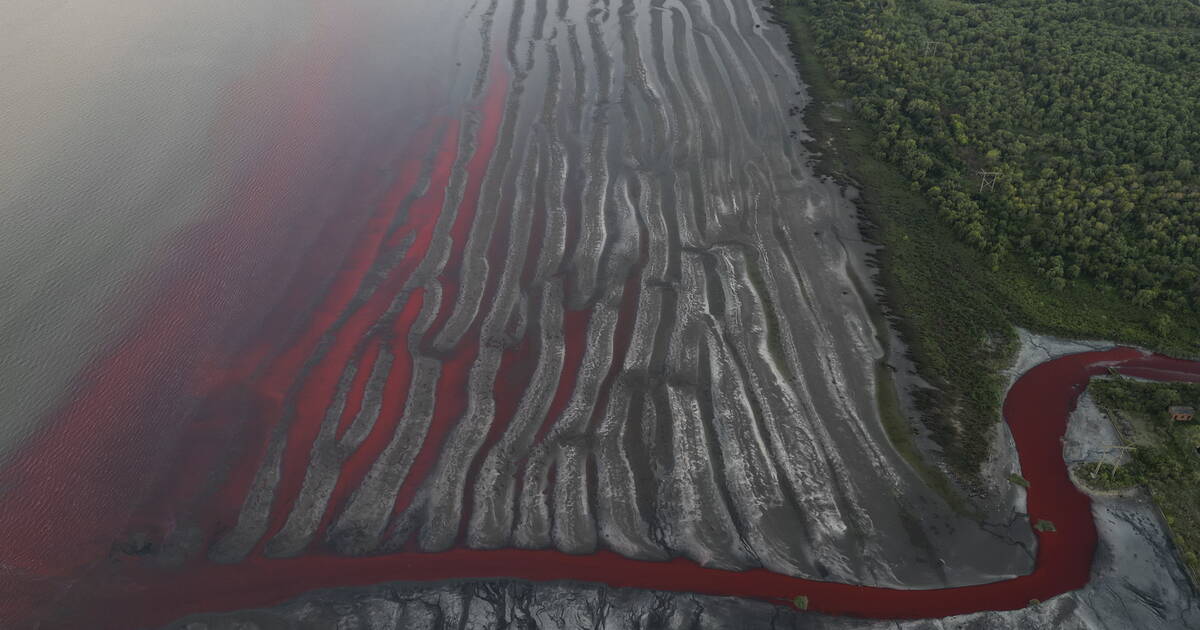 Près de Buenos Aires, la rivière Sarandi vire au rouge, énième épisode d’une pollution systémique selon les riverains