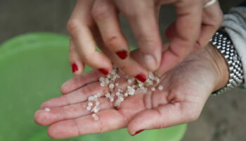 Finistère : d'où viennent ces milliers de billes de plastiques qui envahissent une plage ?