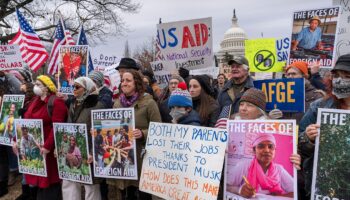 DC federal workers in a 'panic' over novel experience of job insecurity with Trump cuts