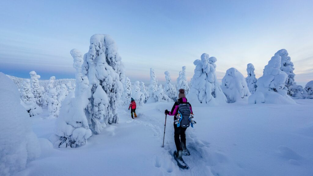 Vacances d’hiver : raquettes, gastronomie locale… Si vous ne skiez pas, voici 4 idées pour occuper vos journées à la neige