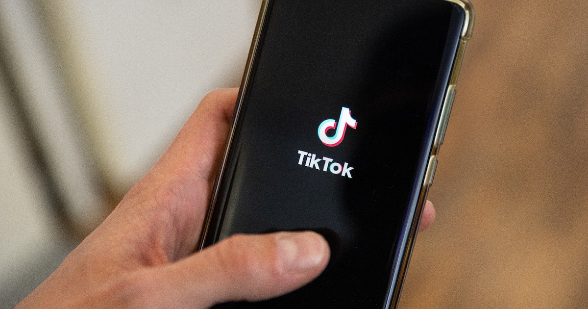 Contre-vidéos, courriers à l'employeur, huissiers, campagne hostile: le patron de Body Minute a tout tenté pour effacer la vidéo moqueuse d'une influenceuse sur TikTok