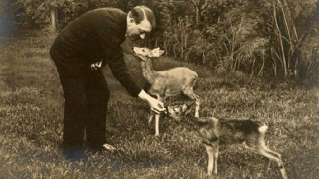 Agriculture bio, protection des forêts, droits des animaux… Le Troisième Reich était-il vraiment écolo?