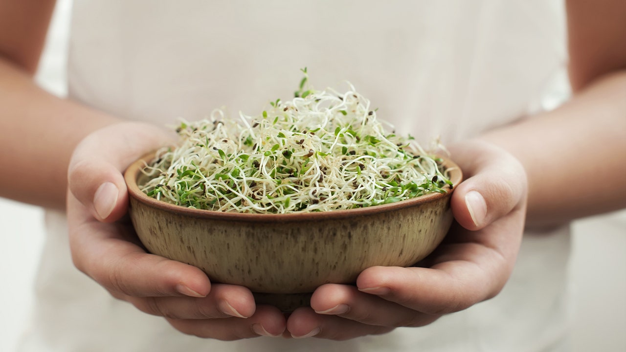 Alfalfa sprouts recalled due to potential listeria contamination