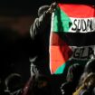 The protester unfurled Palestinian and Sudanese flags. Pic: AP