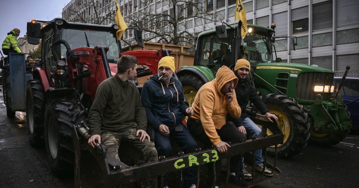 Des membres de la Coordination rurale de Gironde lors d'une mobilisation contre l'accord entre l'UE et le Mercosur, le 19 novembre 2024.