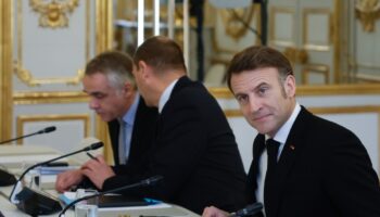 Vive Le Chat!", a écrit sur le réseau social X le président français Emmanuel Macron, ici avec le vice-Premier ministre chinois lors du Sommet sur l'intelligence artificielle à l'Élysée à Paris, le 10 février 2025