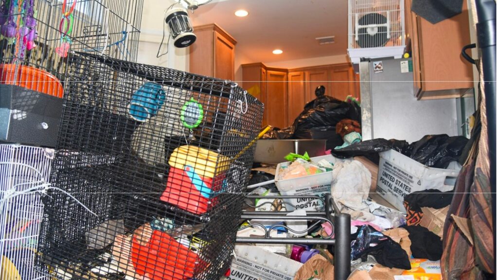 Cages balanced on piles of rubbish in a Long Island home where 10 dead animals were found. Pic: Suffolk County SPCA