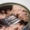 Tuna cans sold at Trader Joe’s, Walmart and Costco recalled due to contamination risk