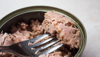 Tuna cans sold at Trader Joe’s, Walmart and Costco recalled due to contamination risk