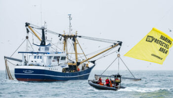 Océans : des ONG saisissent le Conseil d’Etat pour mieux encadrer la pêche dans les aires marines françaises