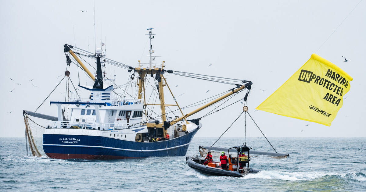 Océans : des ONG saisissent le Conseil d’Etat pour mieux encadrer la pêche dans les aires marines françaises