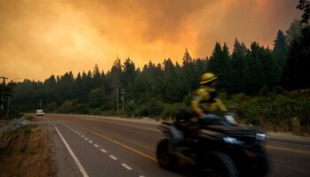 “Chaos total” : les incendies continuent d’avancer en Patagonie argentine