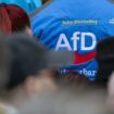 Parteienfinanzierung: AfD erbt fast sechs Millionen Euro von früherer Spenderin