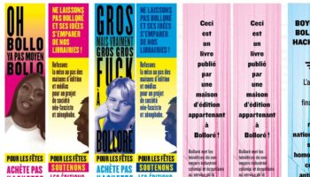 La fronde de libraires contre Hachette : « Face à la puissance de Bolloré, on bricole »