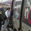 SNCF : les contrebasses vont être définitivement autorisées dans les TGV