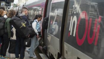 SNCF : les contrebasses vont être définitivement autorisées dans les TGV