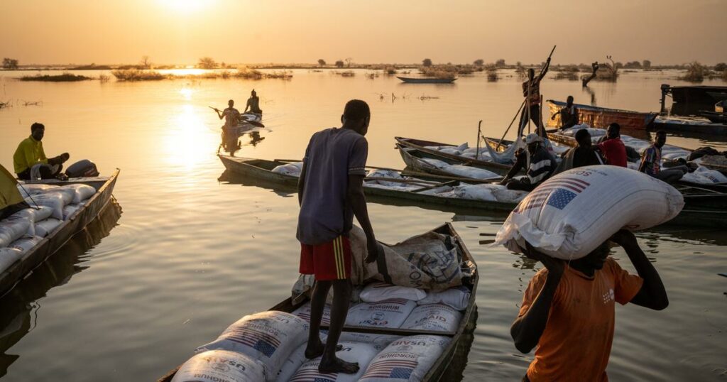 Cataclysme sanitaire, “guerre idéologique” : que signifie le gel de l’USAID en Afrique ?