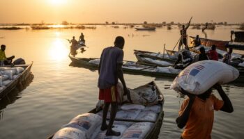 Cataclysme sanitaire, “guerre idéologique” : que signifie le gel de l’USAID en Afrique ?