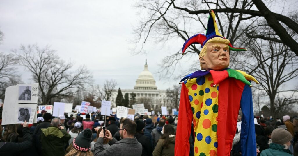 Des manifestants protestent contre le projet du président américain Donald Trump et d'Elon Musk de fermer l'USAID devant le Capitole américain, le 5 février 2025.