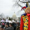 Des manifestants protestent contre le projet du président américain Donald Trump et d'Elon Musk de fermer l'USAID devant le Capitole américain, le 5 février 2025.