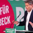 Bundestagswahl: Habeck präsentiert seine Agenda für „das erste Regierungsjahr“