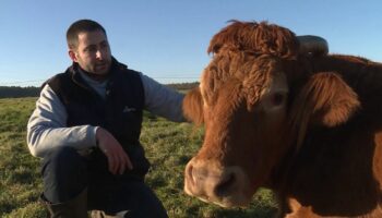 Salon de l'agriculture : comment Oupette, l'égérie de l'édition 2025, se prépare pour le jour J