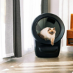 Test de la Litter-Robot 4 : une litière connectée simple et efficace