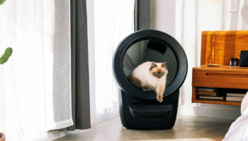 Test de la Litter-Robot 4 : une litière connectée simple et efficace