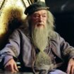 Dans la série « Harry Potter » sur HBO Max, John Lithgow en passe de devenir le prochain Dumbledore