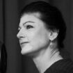 Sarah Wagenknecht: Sahra Wagenknecht, was hält Sie in der Politik?