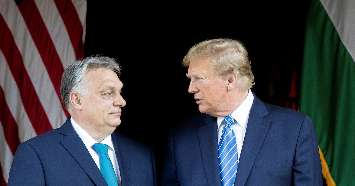 Cette photographie, prise et publiée le 8 mars 2024 par le bureau de presse du Premier ministre hongrois, montre le Premier ministre hongrois Viktor Orban (à gauche) et l'ancien président américain et candidat républicain à la présidentielle, Donald Trump, lors de leur rencontre à la résidence de Trump à Mar-a-Lago à Palm Beach, en Floride.