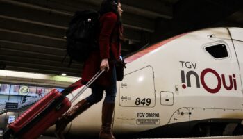 SNCF : les contrebasses sont désormais admises dans les TGV, sous conditions