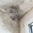 The simple trick that could rid your house of mould