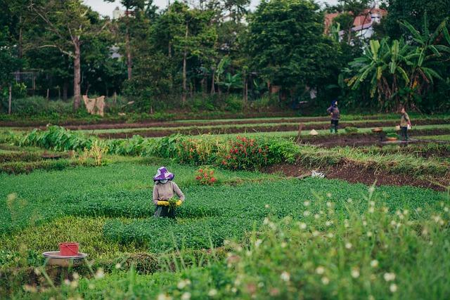 Future Strategies:⁣ Recommendations for Farmers and Policy Makers