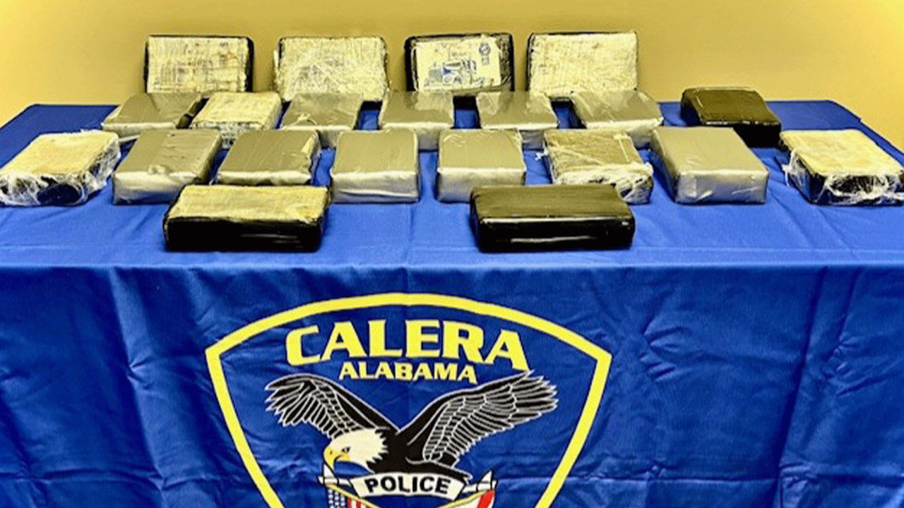 Bricks of cocaine seized during drug bust