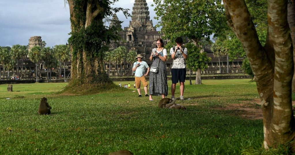 Angkor Vat : des singes agressifs attaquent les touristes, la faute des YouTubeurs ?