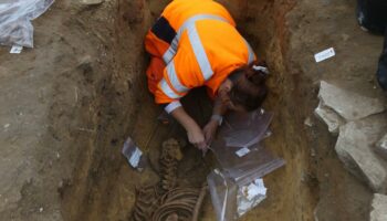 Archéologie : une énigmatique présence « nordique » sur l’île de Ré au Moyen Age