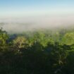 Au Brésil, le narcotrafic prolifère dans la forêt amazonienne