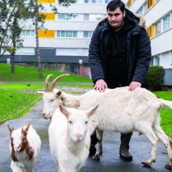 Au cœur de Villiers-le-Bel, Emre Aydemir, le fermier des cités