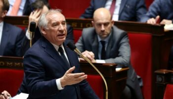 "Aucun pays ne peut vivre sans budget": Bayrou engage deux 49.3 à l'Assemblée