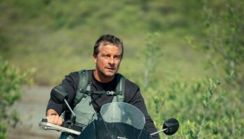 Bear Grylls never comes close to fractional self-awareness in Celebrity Bear Hunt