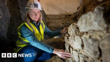 Beginnings of Roman London discovered in office basement