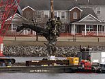 Black Hawk's tracking tech was turned off when it crashed into plane as mangled wreck is pulled from Potomac