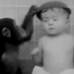 Boy forced to grow up alongside a chimpanzee after family carried out bizarre experiment